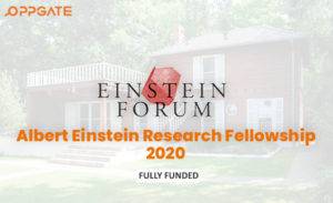 Albert Einstein Fellowship