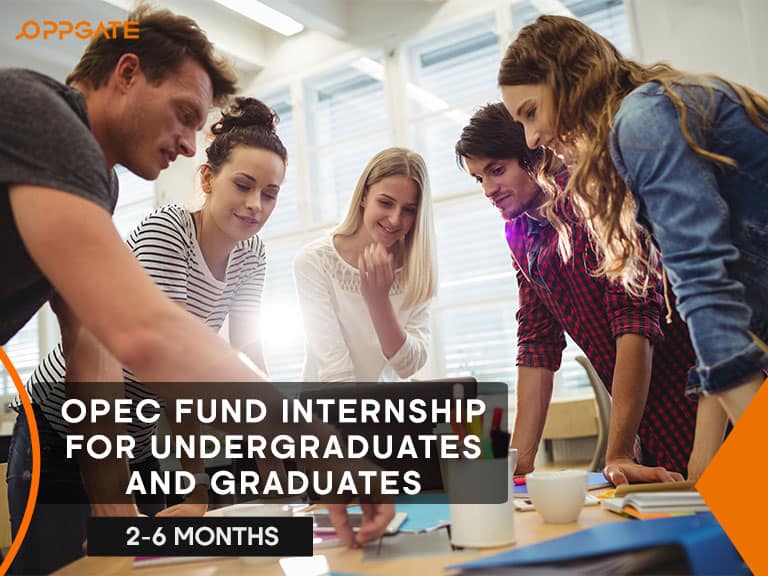 internship for undergraduates and graduates