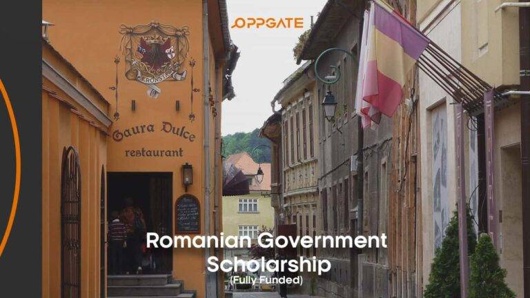 romanian government scholarship