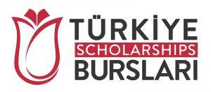 turkish government scholarships