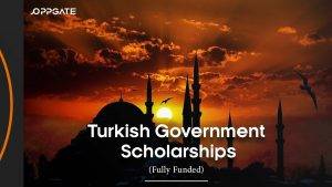 turkish scholarships